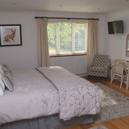 Cherry Tree Guesthouse Bradford-On-Avon Δωμάτιο φωτογραφία